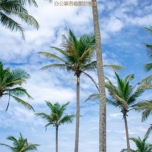 办公室工作轻快的爵士