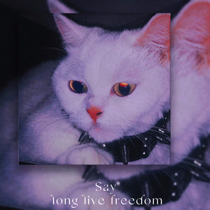 long live freedom