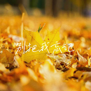 别把我忘记