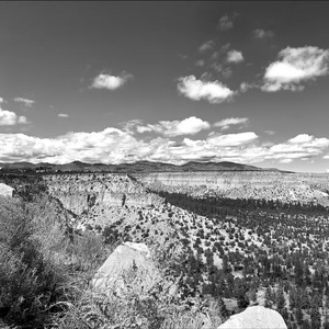 Epilogue：Splendiferous Dream