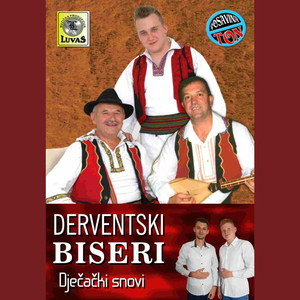 Pjesmu pjevam Posavini
