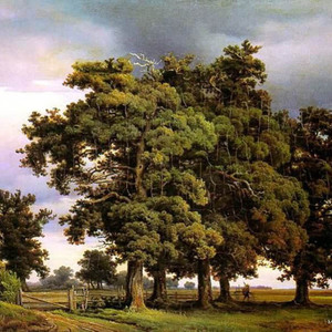 2.雨水（二声部卡农） Rain Water