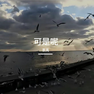 可是呢 伴奏