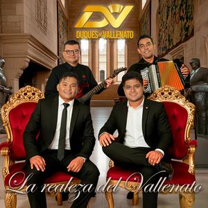 Mariposa de alas rotas