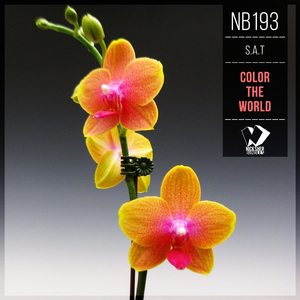 Color the World (Original Mix)