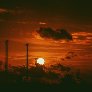 【Free】“pain”