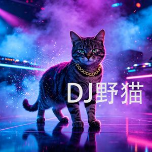 中文重低音炮(DJ版)