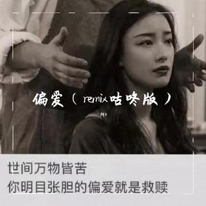 张芸京-偏爱DJ咕咚版（阿K remix）