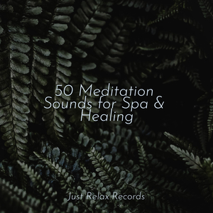 Enchanted Mossy Whispers