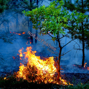 Unser Lied (2018 Remastered Version)