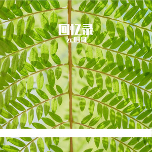 回忆录