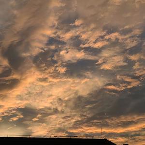 思念(cover：yellow黄宣)