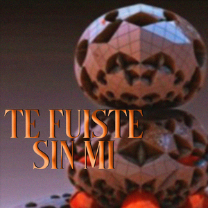 Te fuiste sin mi