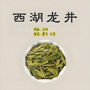 西湖龙井（打击舞曲版）