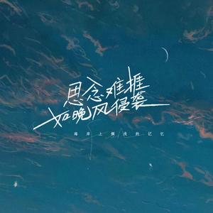 思念难捱如晚风侵袭 (海岸上搁浅的记忆)