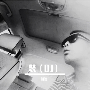 装（dj）
