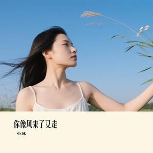 你像风来了又走 (Cover 任夏)