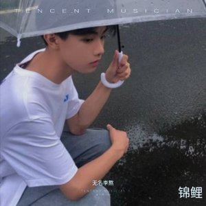 锦鲤