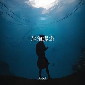 脑海漫游