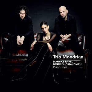 Piano trio no. 2 in e minor op. 67: Allegretto