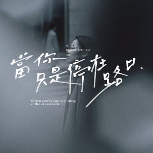 当你只是停在路口