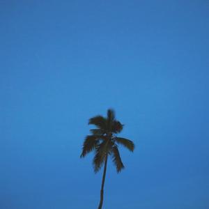 Vijay & Sofia Zlatko-****in' Problems（CHENYI remix）