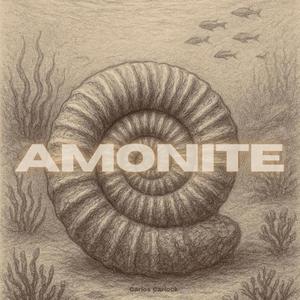 Amonite