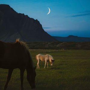 喜欢是瞬间的沦陷