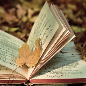 Book of Life Boom Bap Beat