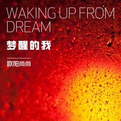 梦醒的我