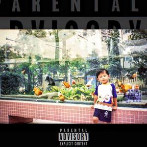 溯流光（Prod&Mix by 淮河意识流 & Povoke）