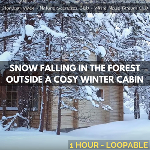 Snow Falling in the Forest Outside a Cozy Winter Cabin: One Hour (Loopable)