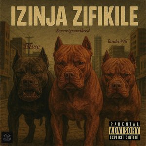 Izinja Zifikile