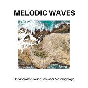 Bugs in the Dark Shadows