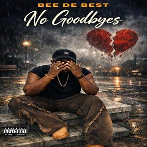 NO GOODBYES