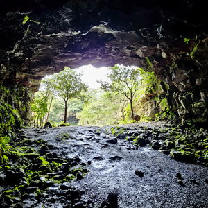 봄비 (feat. 오미비)