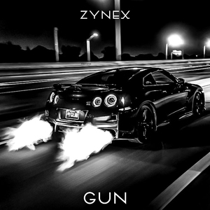 Gun