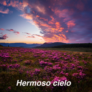 Sosteniendo de la Mano.