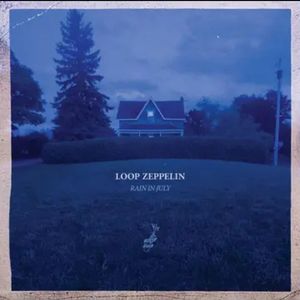 用怀疑交换安全感