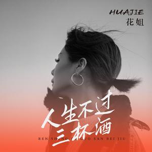 花姐-人生不过三杯酒(DJHouse版）