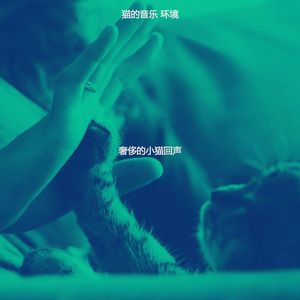 诗意的可爱的猫节奏