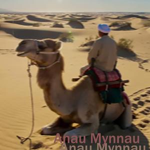 Звездная ночь