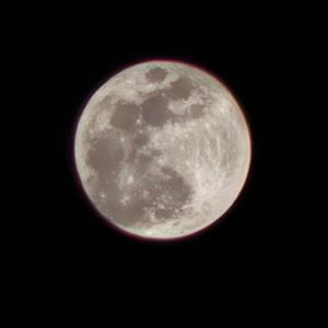 我总是喜欢拍照