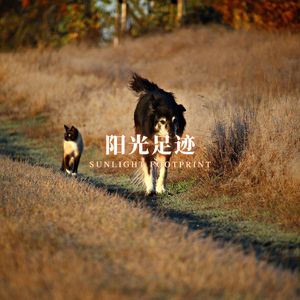 犬步翩翩 (爱心守护)