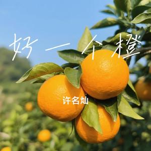 好一个橙