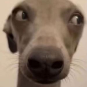 回忆的伤