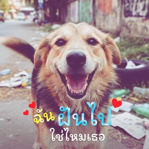 ฉันฝันไปใช่ไหมเธอ