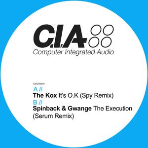 It's O.K (S.P.Y Remix)