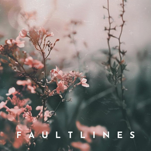 Faultlines