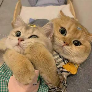 美丽的神话（高潮片段跟唱demo）